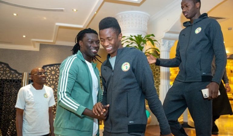 Arabie Saoudite: Bafétimbi Gomis rend visite aux Lionceaux (photos)