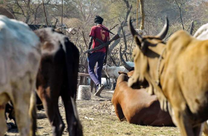 Au Soudan du Sud, la guerre sans fin des éleveurs surarmés