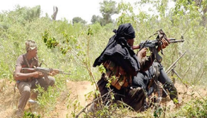 Casamance : trois bases rebelles du MFDC acceptent de déposer les armes