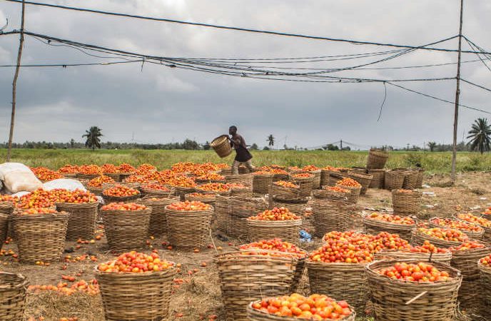 Une partie de l’aide au développement des pays pauvres est détournée vers les paradis fiscaux