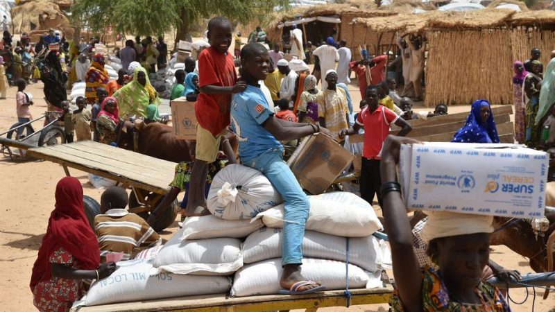 Niger : une bousculade lors d’une distribution de vivres fait 20 morts