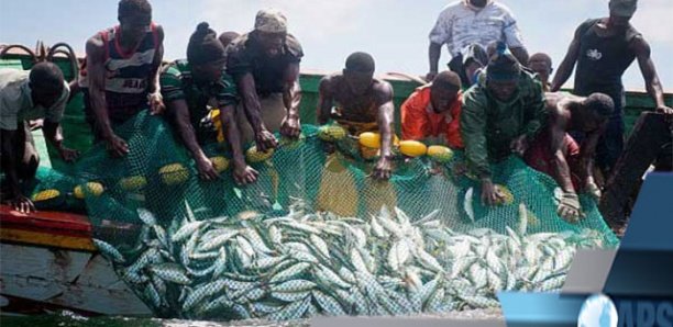 MBOUR : UN ATELIER POUR ÉVALUER L’INTERDICTION DE LA PÊCHE NOCTURNE