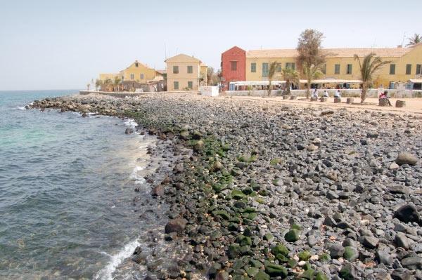 Un environnementaliste alerte : « Gorée risque de disparaître »