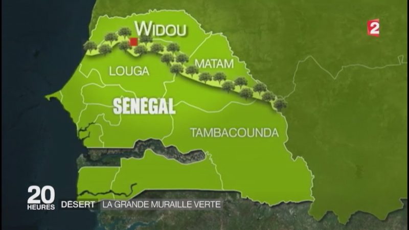 Plan B : au Sénégal, une Grande Muraille verte pour arrêter le désert Cet ambitieux projet de Grande Muraille verte a été lancé en 2008 sous l’égide de l’Union africaine afin de ralentir la désertification et pour restaurer les écosystèmes sahéliens.