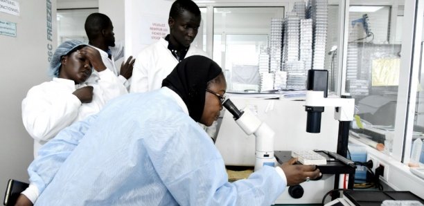 Sénégal: 9 cas nouveaux positifs au coronavirus