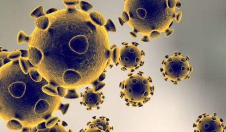 Coronavirus : Le monde s’affole, l’Afrique peu touchée