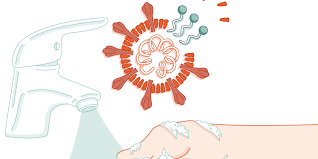 Comment le savon permet de détruire le coronavirus