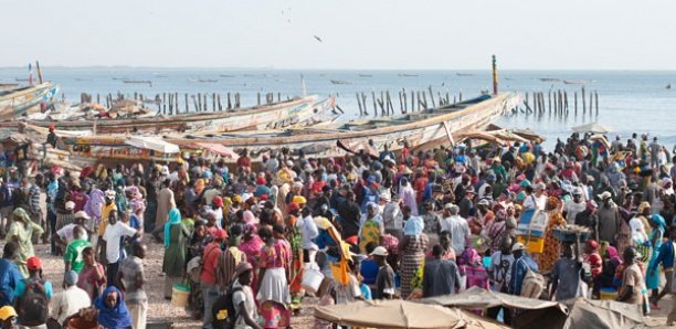 Mbour : Le préfet ferme le marché central et le quai de pêche