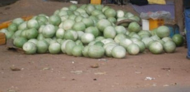 Sédhiou : Plus de 1000 mm de pluie enregistrées, les récoltes déjà sur le marché