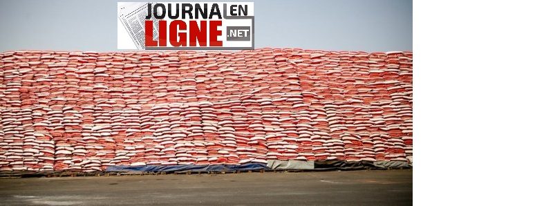 Riz : Une rumeur de pénurie s’empare du marché