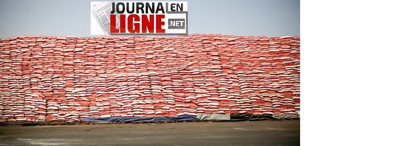 Riz : Une rumeur de pénurie s’empare du marché