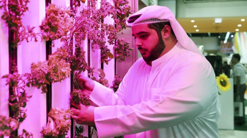 Abu Dhabi attire quatre entreprises agro-technologiques avec un investissement de 100 millions de dollars