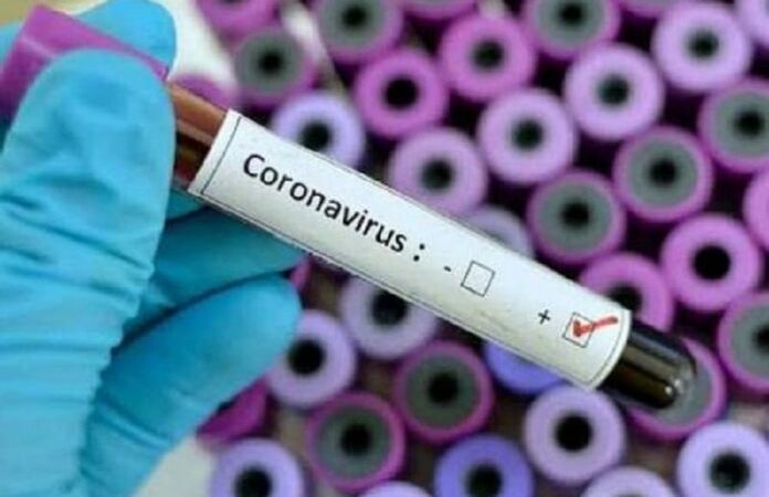 Coronavirus : 219 cas enregistrés dans le pays…