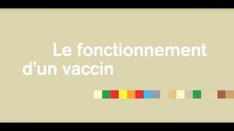 Après-Covid : Interrogations autour d’un « nouveau vaccin » obligatoire pour voyager