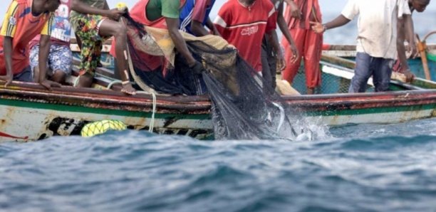 Portés disparus 3 semaines 30 pêcheurs de Yoff retrouvés et mis en quarantaine dans un hôtel dakarois