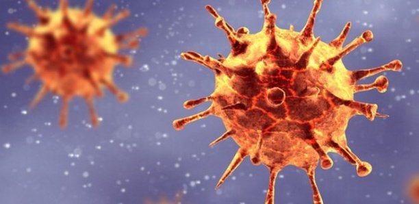 Coronavirus : les mutations du virus intriguent les scientifiques sur son impact