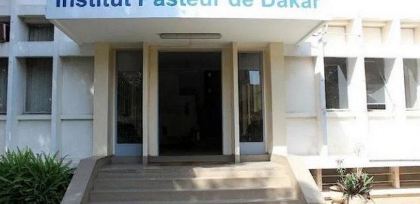 Covid-19/Bilan : Plus de 16 000 prélèvements testés par l’Institut Pasteur de Dakar en deux mois