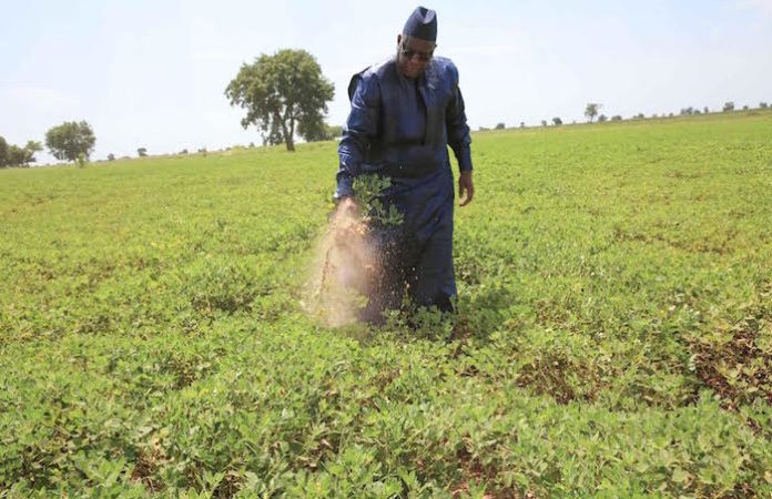 Macky allou 60 milliards au programme agricole 2020–2021