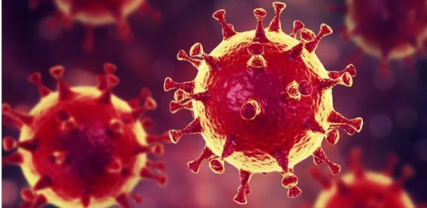 Covid-19 : le nouveau coronavirus n’a pas été créé par l’homme ou modifié génétiquement (renseignements américains)