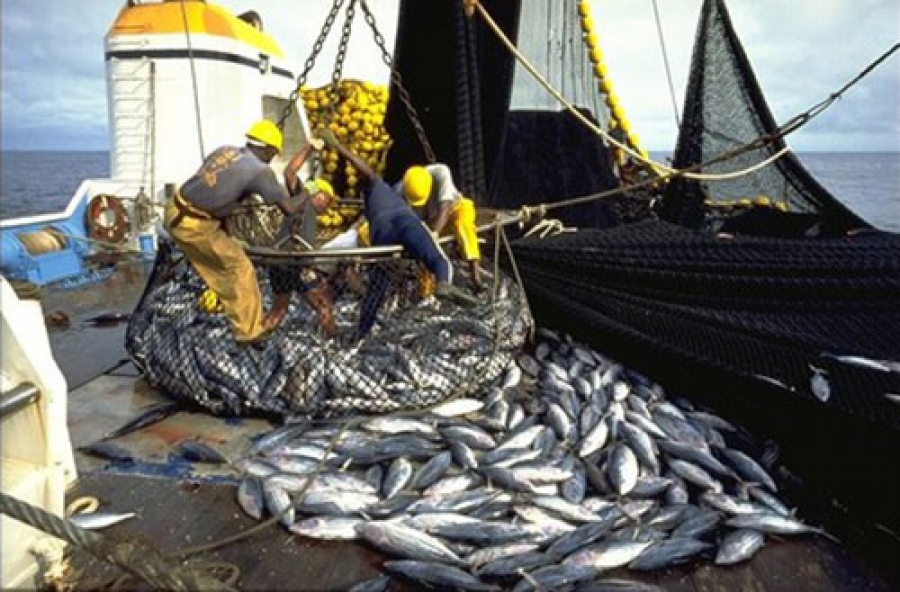 Sénégal : « 57 licences de pêche octroyées à des navires étrangers qui opèrent en toute impunité » (Gaipes)