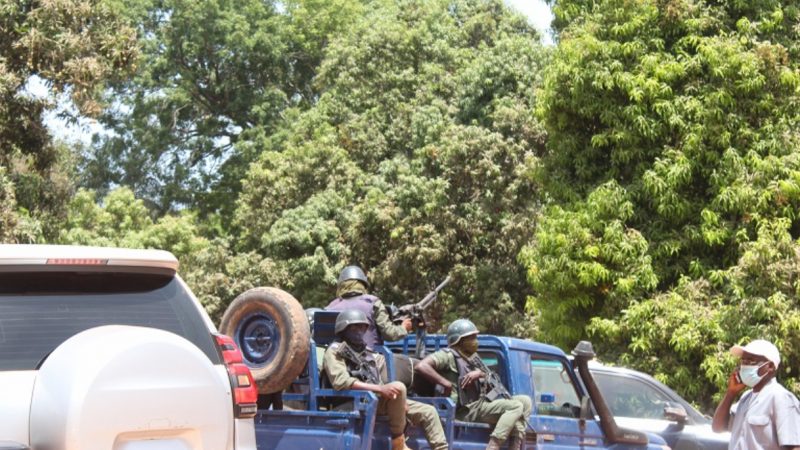 Ziguinchor : Ces tirs dans la brousse qui inquiètent les populations