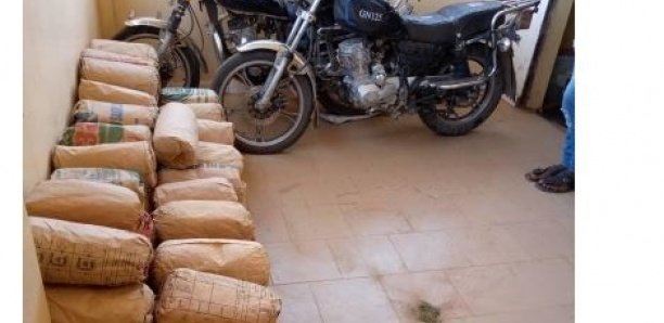 Societe Sédhiou : Un Sénégalais et un Bissau-Guinéen tombent avec 235 kg de «yamba»