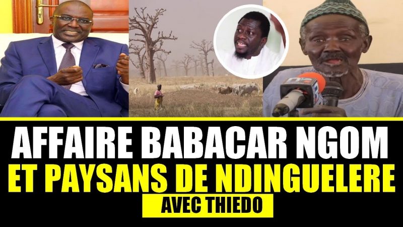 Video Affaire Babacar Ngom et paysans : un notable de Njilakh rétabli la vérité des faits