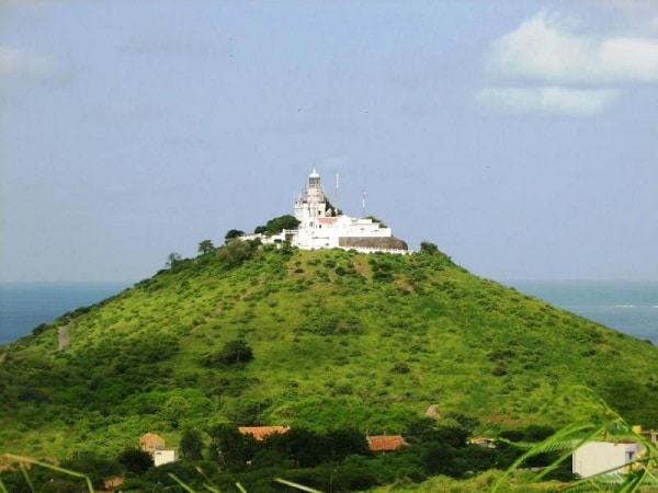 Un parc zoologique autour des collines du Phare des Mamelles