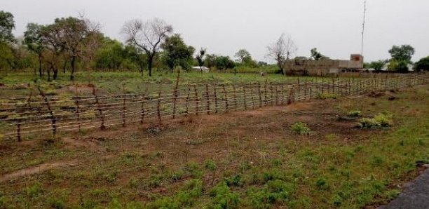 Spéculation foncière à Médina Wandifa : Le sous-préfet de Diaroumé et le maire au banc des accusés