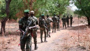 Les rebelles et leurs bases dans la forêt de Mbissine pilonnés par l’armée sénégalaise