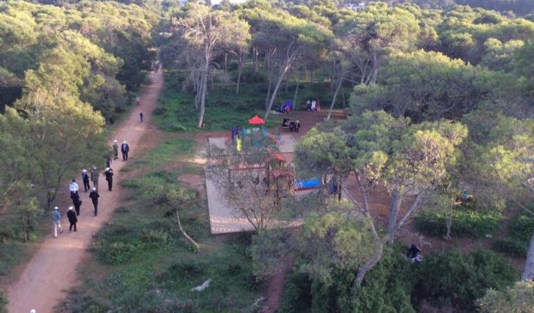 “Alerte sur la boulimie foncière à la morbidité de la forêt classée de Mbao”