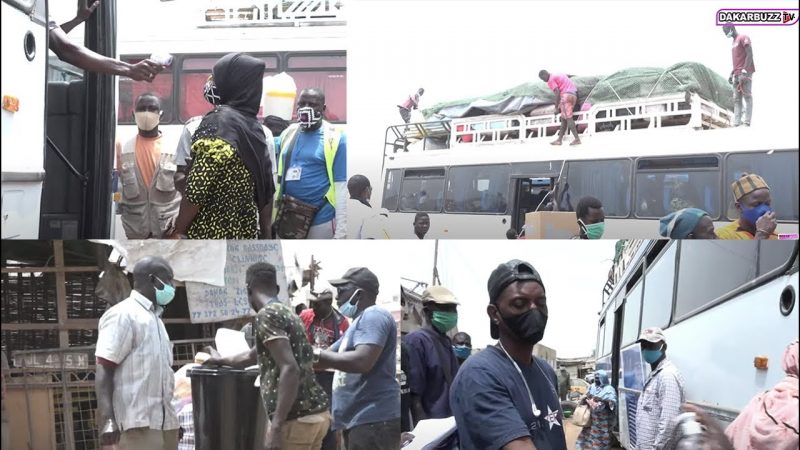 transports interurbains: Reportage au garage de Bignona à la Zone de Captage à Dakar