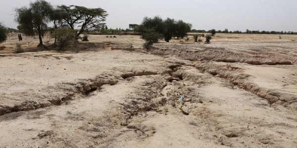 Suspension des terres cultivables de 40 ha du village de Kataba 2 : Le Sous-préfet de Diouloulou au banc des accusés