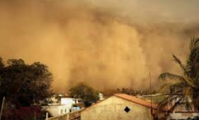 Sédhiou : La tempête déracine 24 616 bananiers à Balantacounda