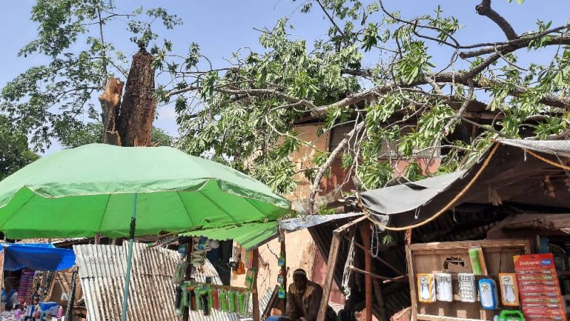 Hivernage 2020 : La pluie fait déjà d’importants dégâts à Vélingara (photos)