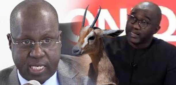 Affaire des gazelles mortes : Le Pds traine Abdou Karim Sall devant le procureur