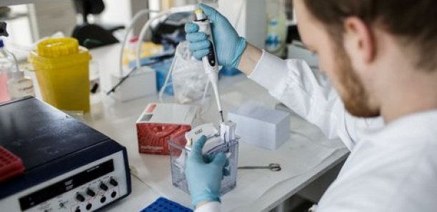 Covid-19 : Un premier test prometteur pour le vaccin fabriqué à Oxford