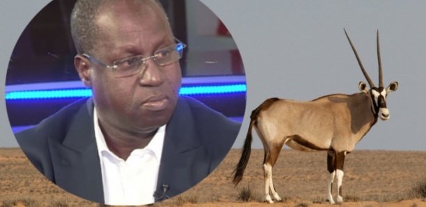 Abdou K. Sall brise le silence: « Je n’ai rien à me reprocher… cette situation ne m’ébranle pas»