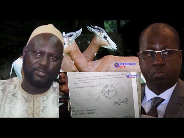 Affaire des Gazelles Oryx : Le maire de Mbao sort les cafards de Abdou Karim Sall (Vidéo)