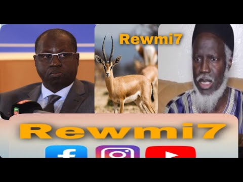 (Audio)Affaire des gazelles Oryx : Oustaz Alioune Sall recadre Abdou Karim Sall