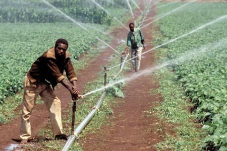 “Le Retour de l’agriculture…”