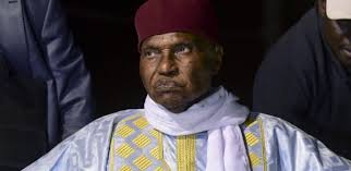 Affaire des gazelles mortes : Me Abdoulaye Wade démarre le combat contre Abdou Karim Sall