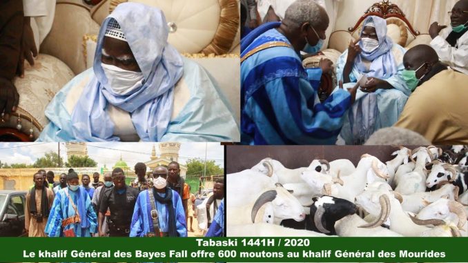 (Vidéo)Tabaski 2020 : Le khalife des Bayes Fall offre 600 moutons à Serigne Mountakha…