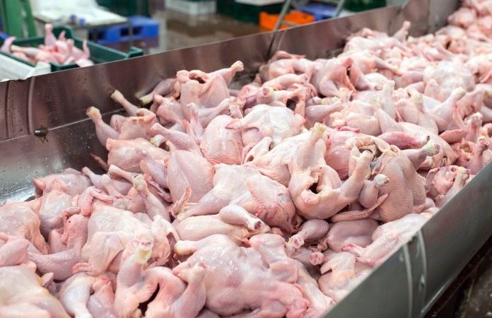 La Chine dit que les ailes de poulet congelées du Brésil sont testées positives pour le coronavirus.