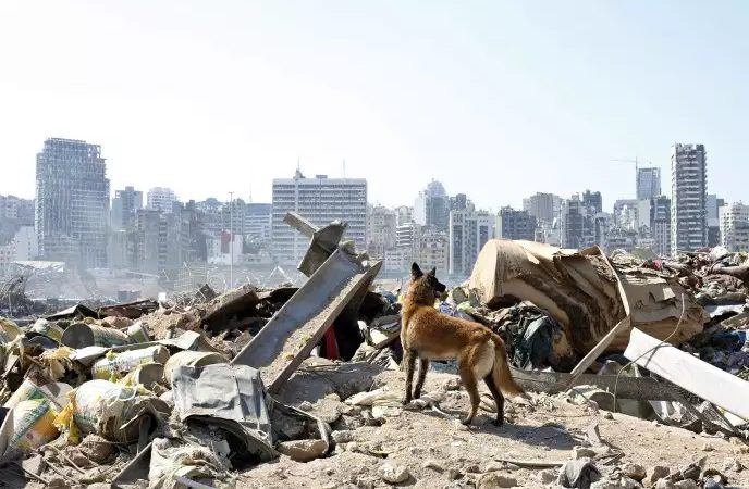 Des secouristes fouillent les décombres du port de Beyrouth, des responsables arrêtés