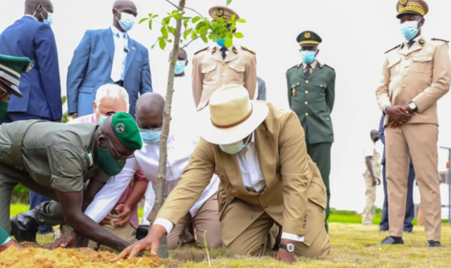 Journée nationale de l’arbre : Macky demande aux Sénégalais de lutter contre la « déforestation »