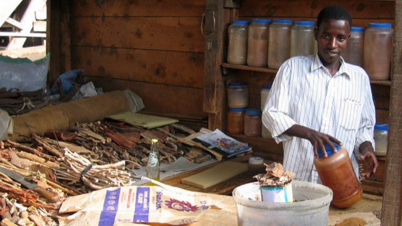 Afrique : Voici les progrès accomplis dans la médecine traditionnelle au cours des 20 dernières années