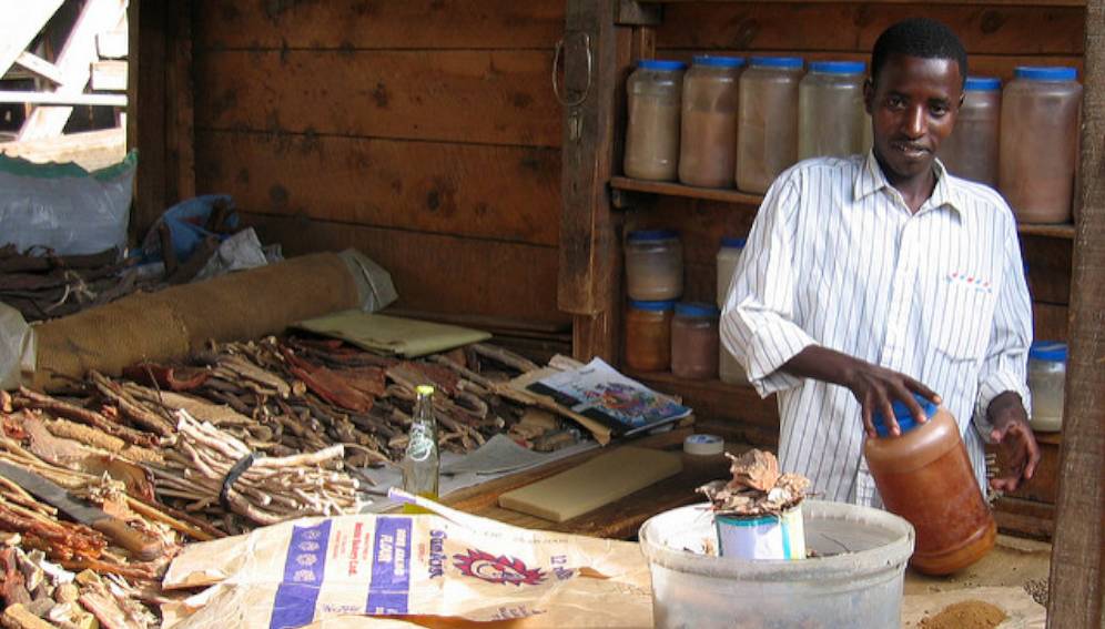 Afrique : Voici les progrès accomplis dans la médecine traditionnelle au cours des 20 dernières années