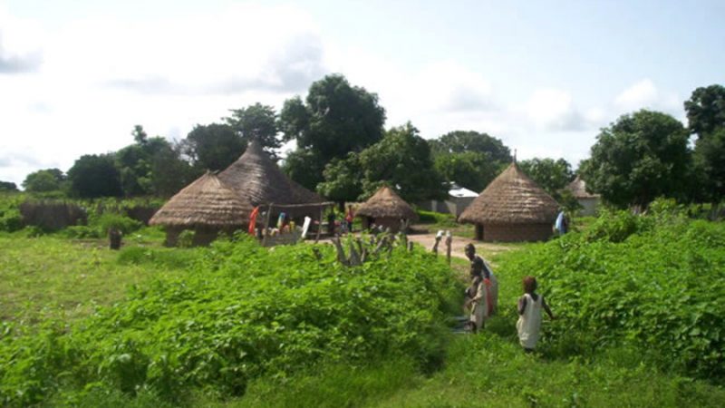 Casamance – tueries de Mandina-Mancagne : retour sur les lieux 23 ans après le drame