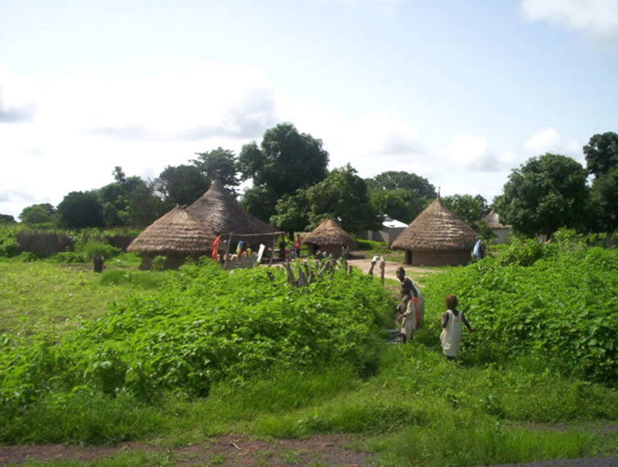 Casamance – tueries de Mandina-Mancagne : retour sur les lieux 23 ans après le drame